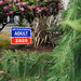 Yard sign by applegater