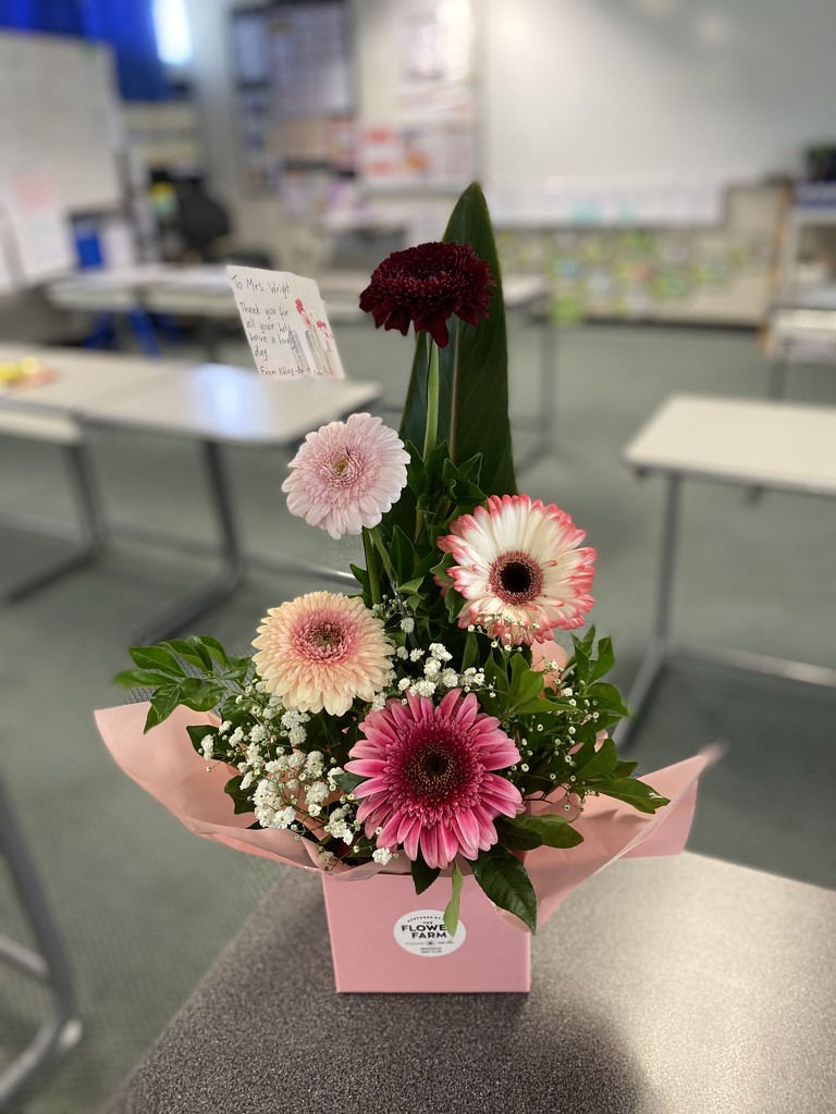 Flowers from a student  by corymbia
