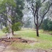 Well that was an intense storm! by corymbia