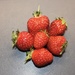 Strawberry by maysvilleky