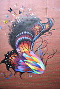 14th May 2020 - Butterfly Mural