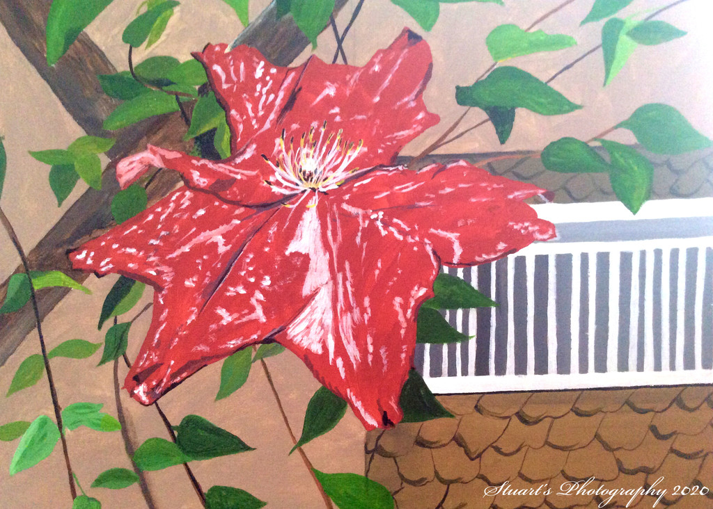 Clematis (painting) by stuart46