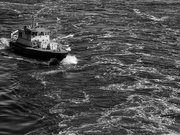 17th May 2020 - 0517 - Pilot boat on the River Mersey