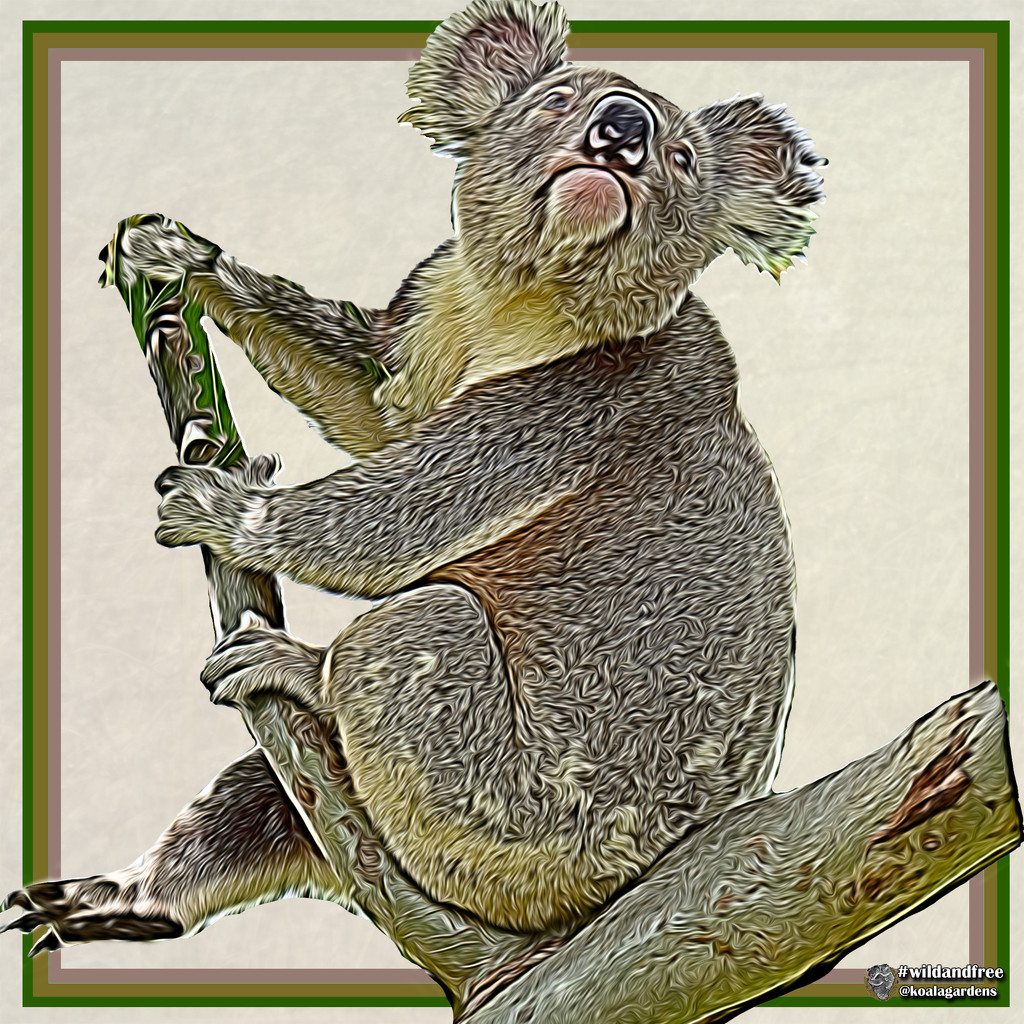 third wild edit by koalagardens