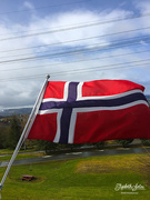 17th May 2020 - Norway's Constitution Day.