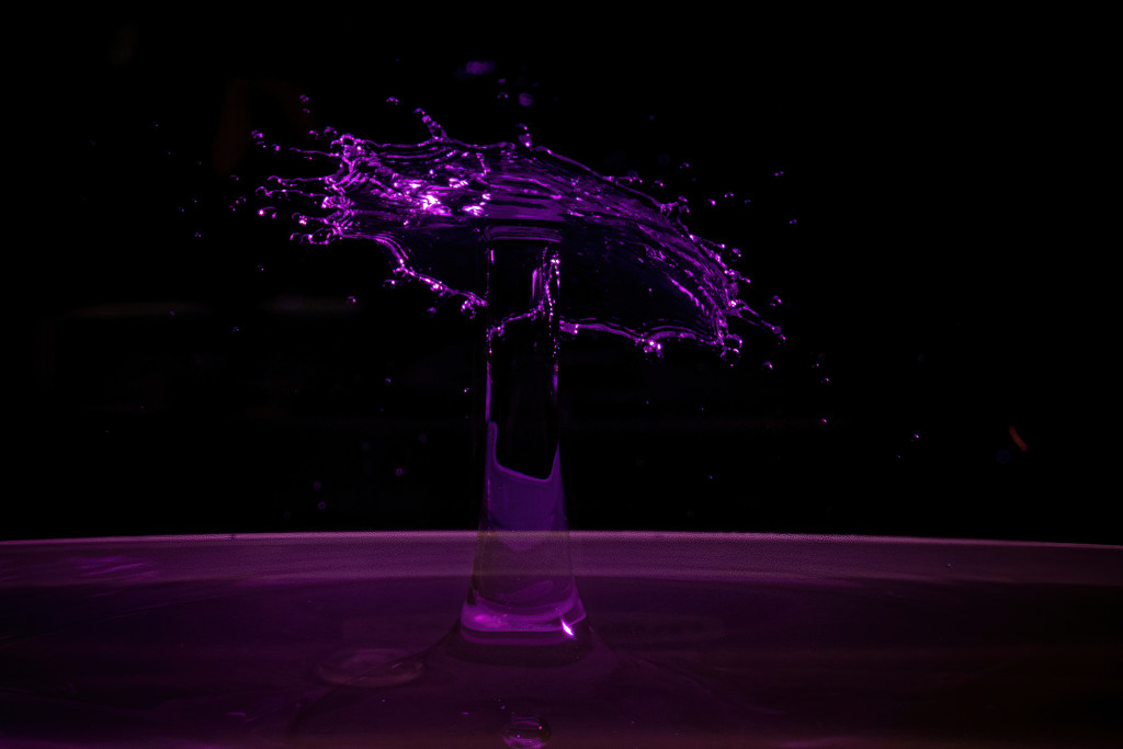 Purple Splash by swchappell