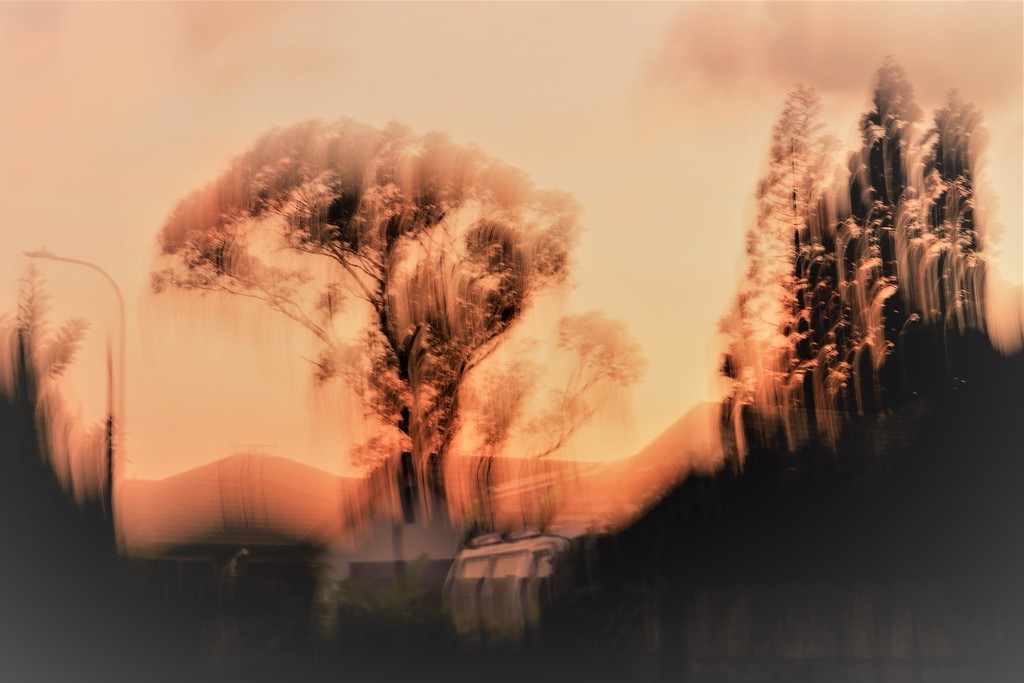 Dusk Intentional Camera Movement by sandradavies