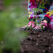 Planting the Garden by tina_mac
