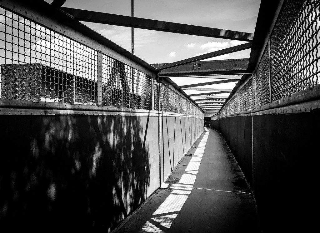 The Walkway by browngirl