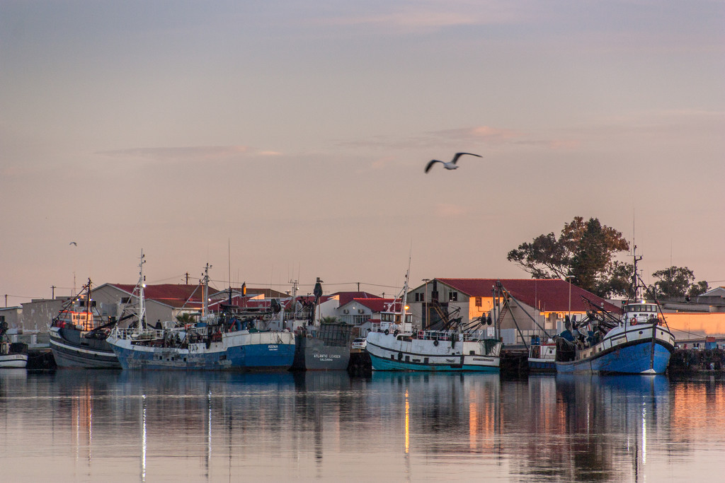 Early morning Fishing Harbour by seacreature