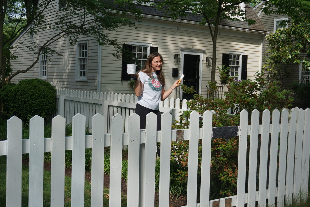 Painting the Picket Fence by allie912