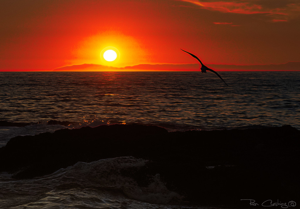 Sundown Seascape by stray_shooter