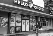 16th May 2020 - HELLO CHICKEN Owner #weareBuHi project