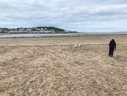 19th May 2020 - Tides Out!!