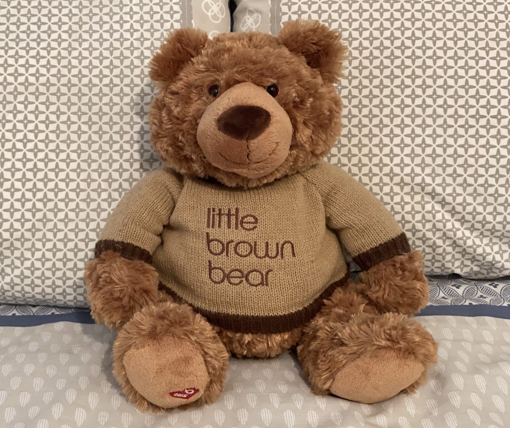 T for Teddy Bear by kjarn