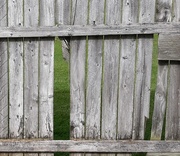 18th May 2020 - Old Fence