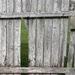 Old Fence by julie