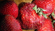 20th May 2020 - Pick Strawberries Day