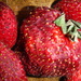 Pick Strawberries Day by spanishliz