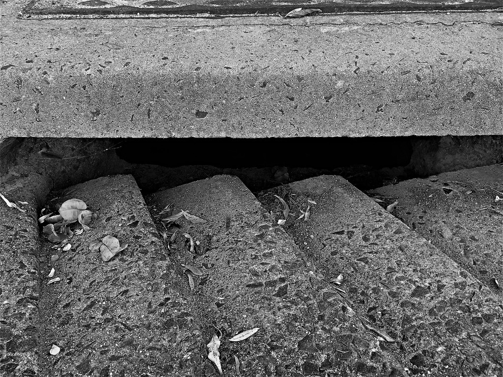 Concrete Halves by lmsa