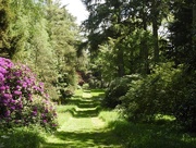 21st May 2020 -  Hergest Croft Gardens