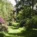  Hergest Croft Gardens by susiemc