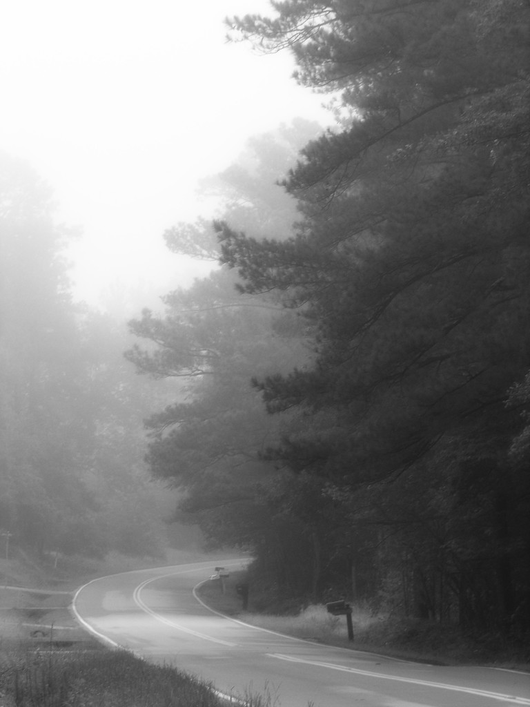 Fog in black and white by marlboromaam