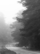 21st May 2020 - Fog in black and white
