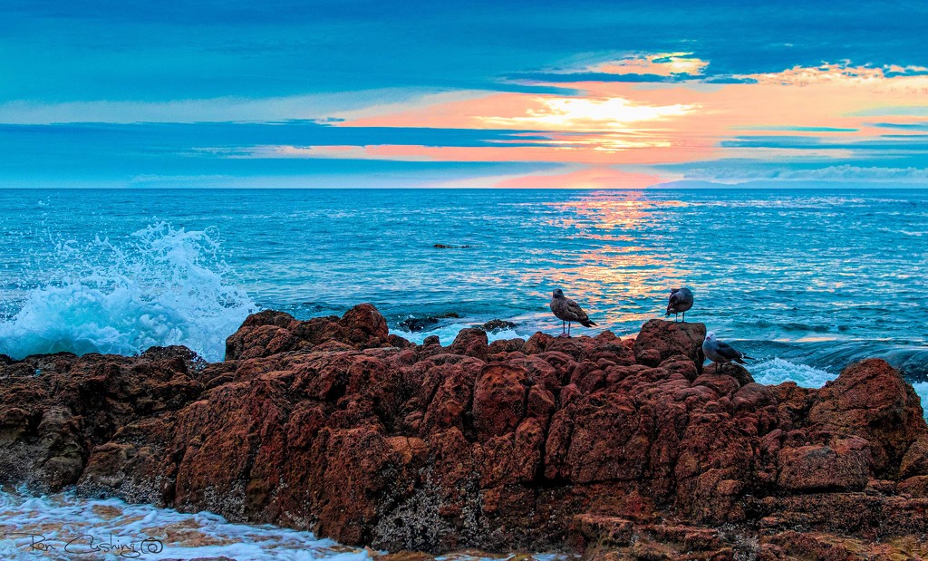 Rocky Shore Sunset by stray_shooter