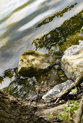21st May 2020 - Rocks and Reflections
