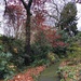 George Tindale Gardens by pictureme