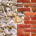 Brickwork by moonbi