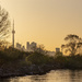 Toronto Misty Morning Sunrise by pdulis