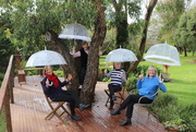 23rd May 2020 - Social distancing clear brollies