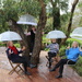 Social distancing clear brollies by gilbertwood