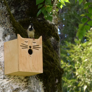 21st May 2020 - just for fun! birdhouse!