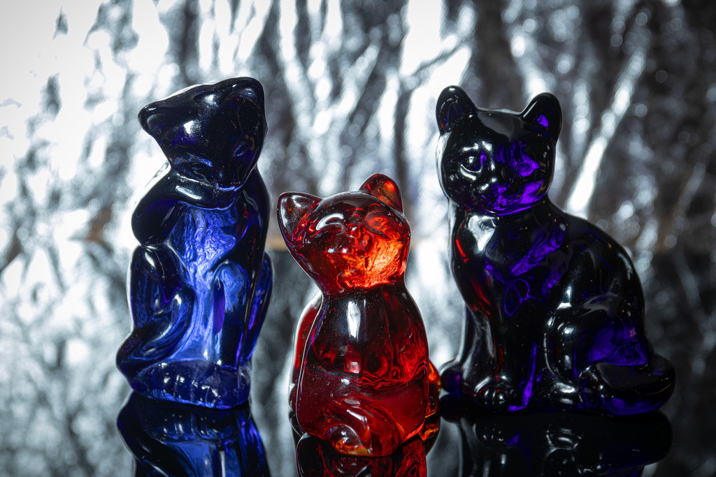 Red Cat, Blue Cat by swchappell