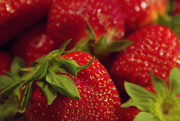 20th May 2020 - Strawberry Season