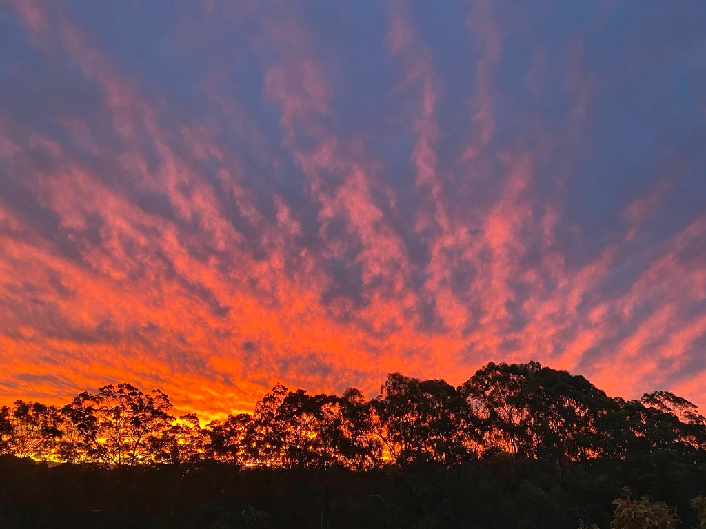 Spectacular sunset by corymbia