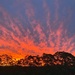Spectacular sunset by corymbia