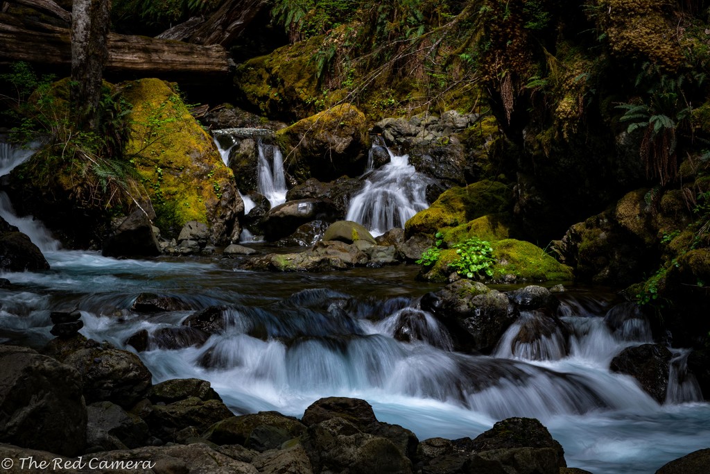 Rain Forest Water Fall by theredcamera