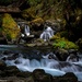 Rain Forest Water Fall by theredcamera