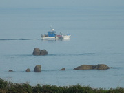 8th May 2020 - The fishing boats are back on the sea