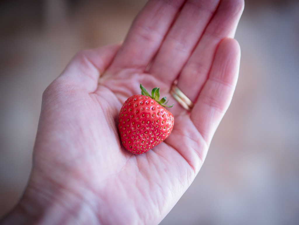 Strawberry by newbank