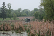 24th May 2020 - Bridge Between Pond 2 and Pond 1