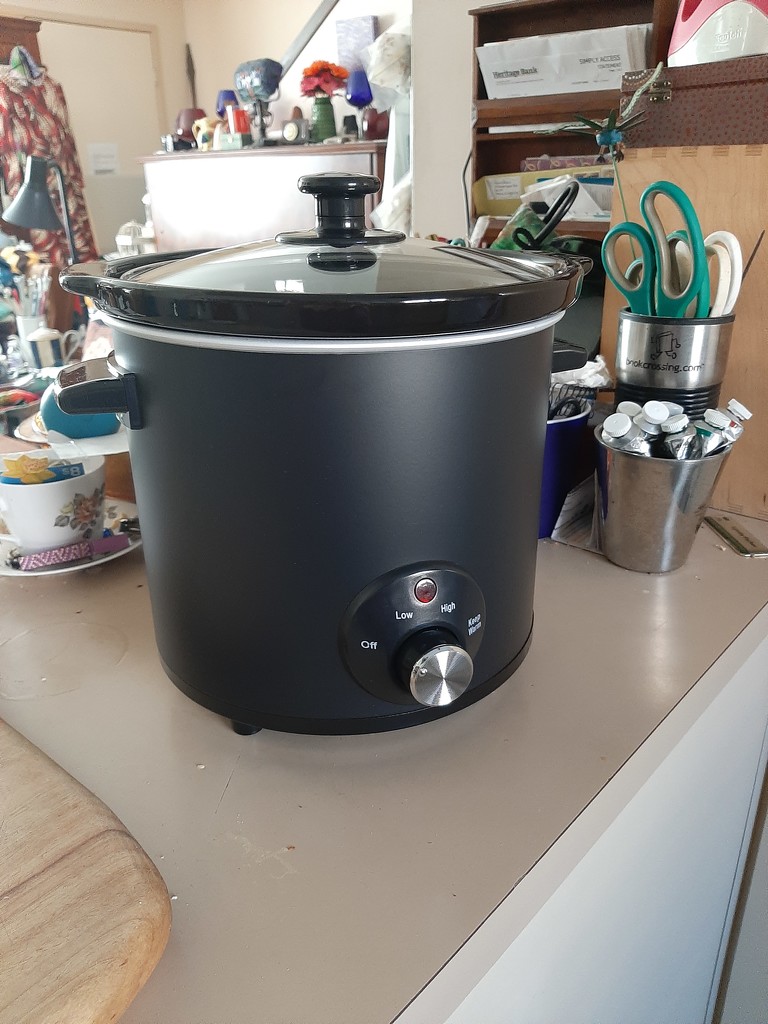 New Slow Cooker by mozette