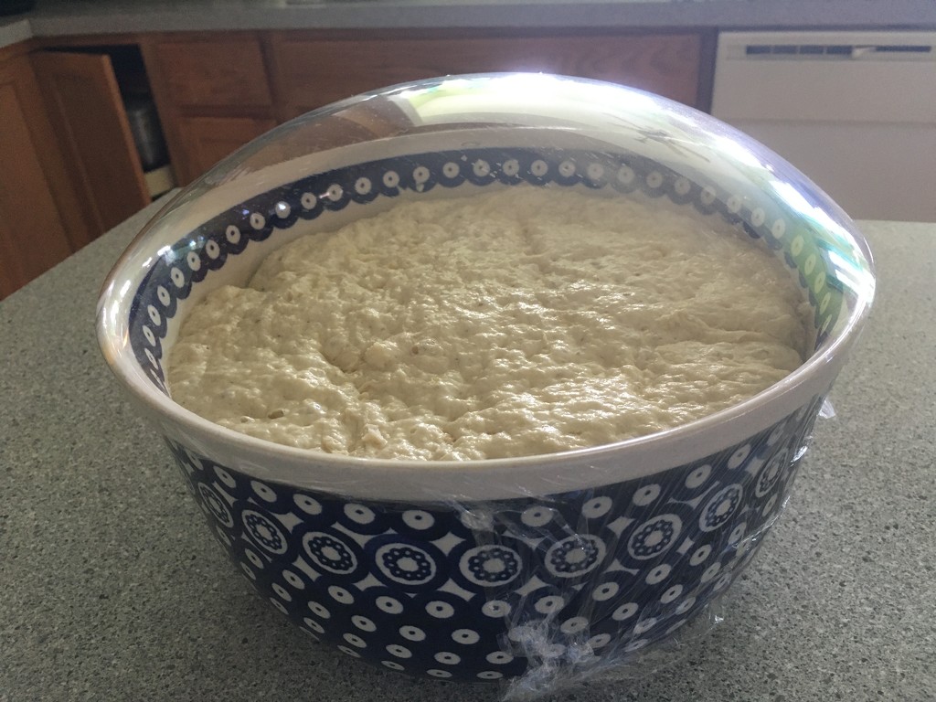 the dough has risen by wiesnerbeth
