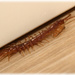 Centipede by bybri