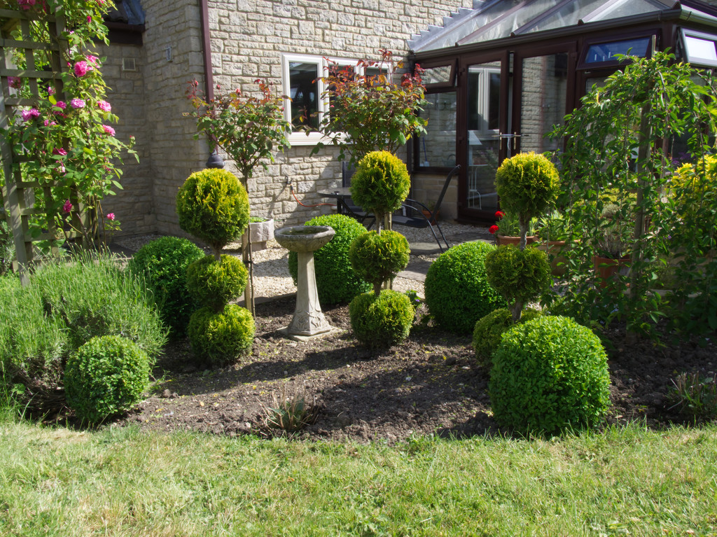 Topiary Finished! by jon_lip