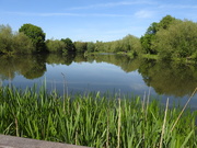 20th May 2020 - Iremongers Pond